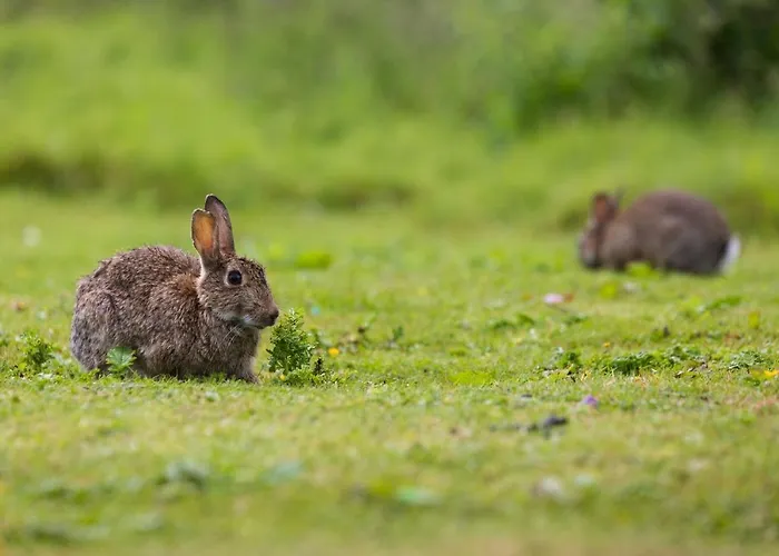 Yorkshire Dales 15 By Together Travel - 3-bed Premium Ensuite Σπίτι διακοπών